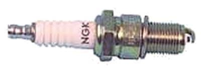 Picture of NGK spark plug